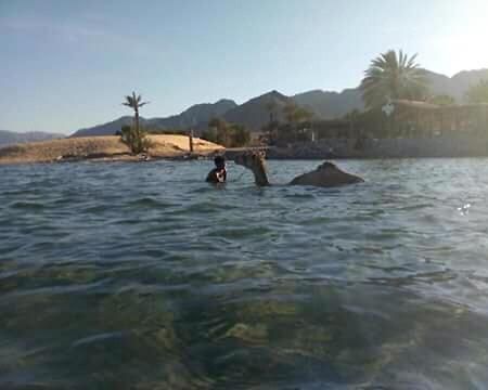 Sebaii Camp السباعى كامب شاطئ الترابين بجوار ويت بالس Albergue Nuweiba` Exterior foto