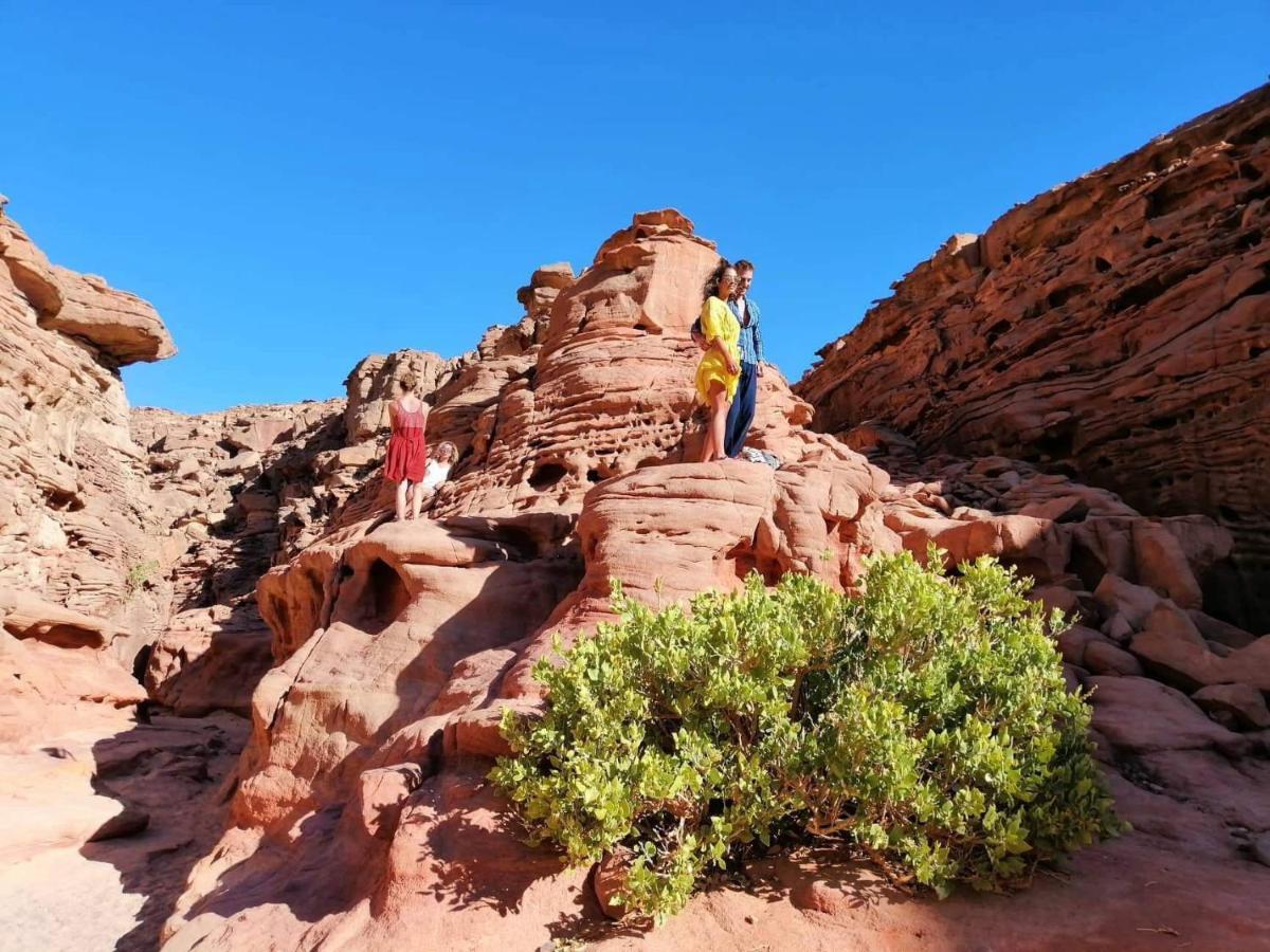 Sebaii Camp السباعى كامب شاطئ الترابين بجوار ويت بالس Albergue Nuweiba` Exterior foto